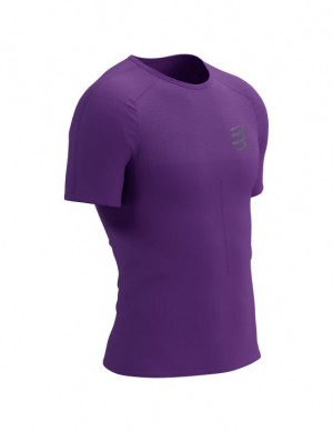 Compressport Performance SS Tshirt M Hardloopshirts Heren Paars | FWXTJN578