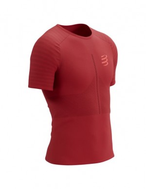 Compressport Race SS Tshirt M Hardloopshirts Heren Rood | ZNIPAQ128