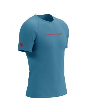 Compressport Training SS Logo Tshirt M Hardloopshirts Heren Blauw | VNWLDC793