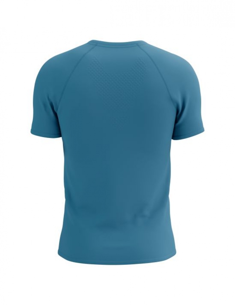 Compressport Training SS Logo Tshirt M T-shirts Heren Blauw | VOIWRS105